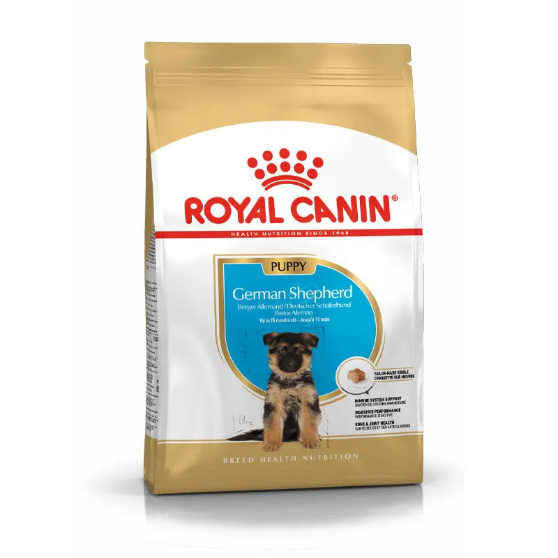 Puppy Schæfer 12 kg