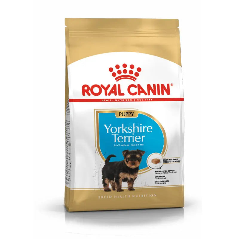 Yorkshire Terrier Puppy 1,5 kg