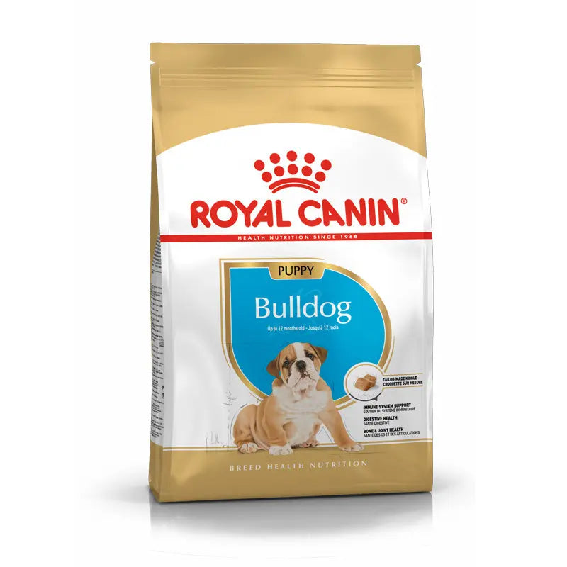 Puppy Bulldog 12 kg