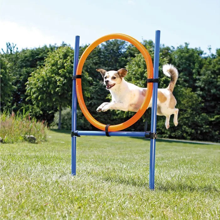 Agility ring 65 cm Sæt med 13 dele