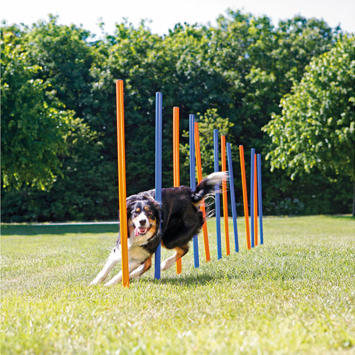 Agility slalom pinde 115 cm 12 stk