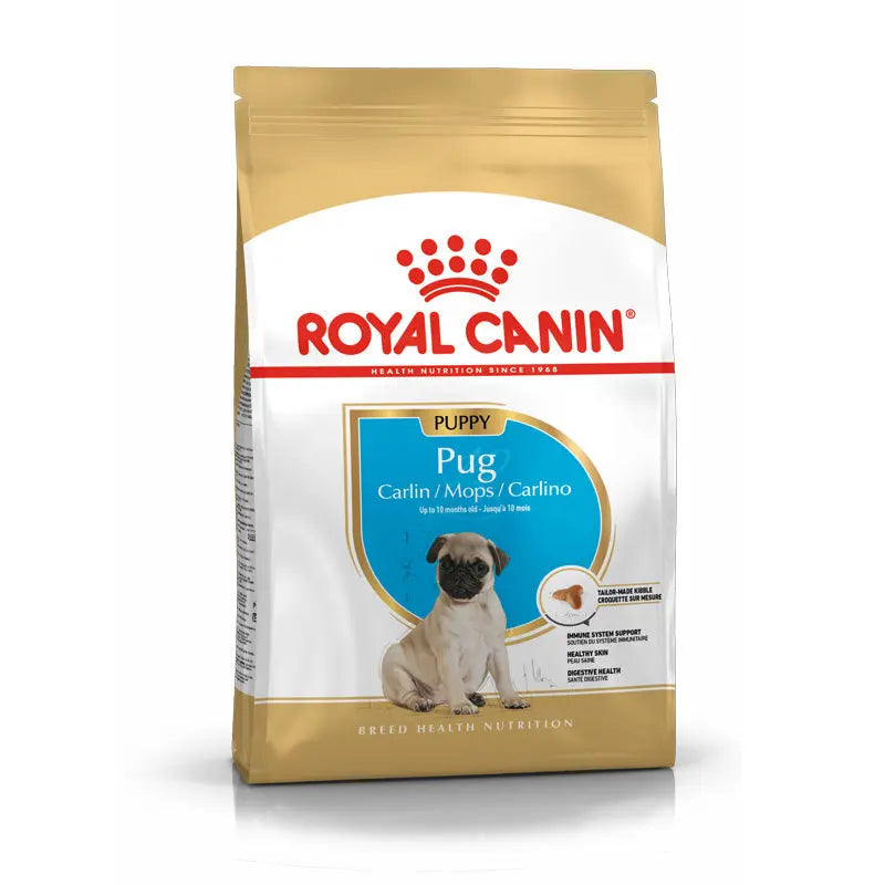 Puppy Mops 1,5 kg