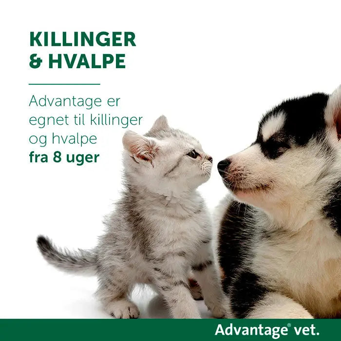 ADVANTAGE VET Loppemiddel hund under 4 kg -  4x0,4 ml