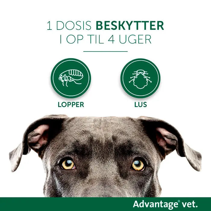 ADVANTAGE VET Loppemiddel hund over 25 kg - 4x4,0 ml