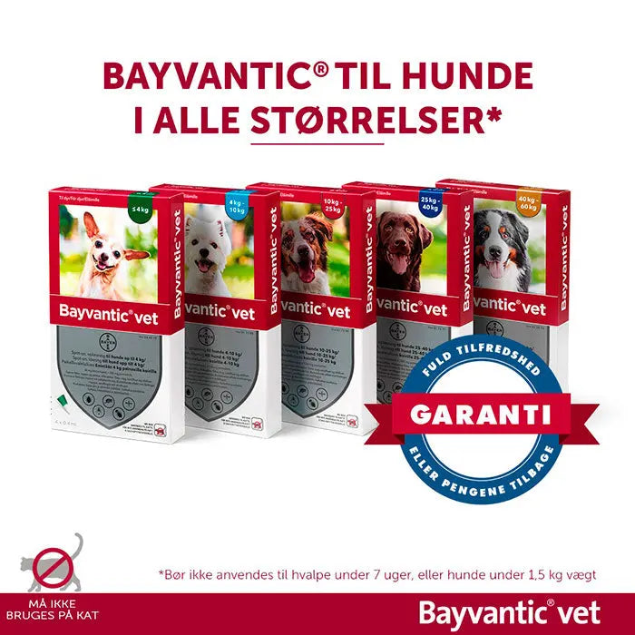 BAYVANTIC VET Flåt- & loppemiddel hund 4-10 kg - 4x1,0 ml