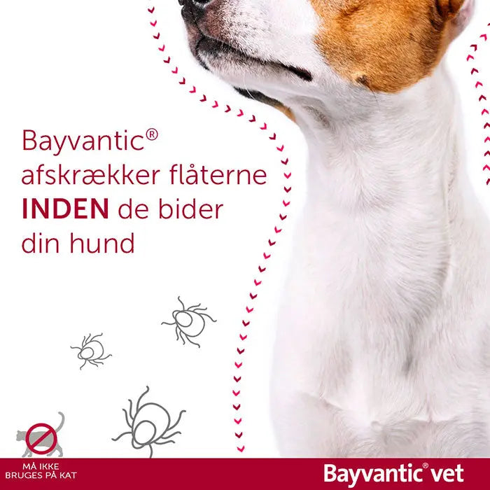 BAYVANTIC VET Flåt- & loppemiddel hund 4-10 kg - 4x1,0 ml
