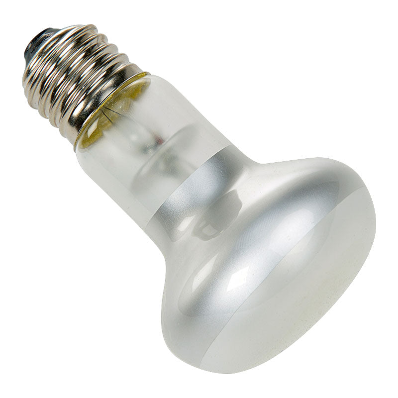 Spotlampe 75 w