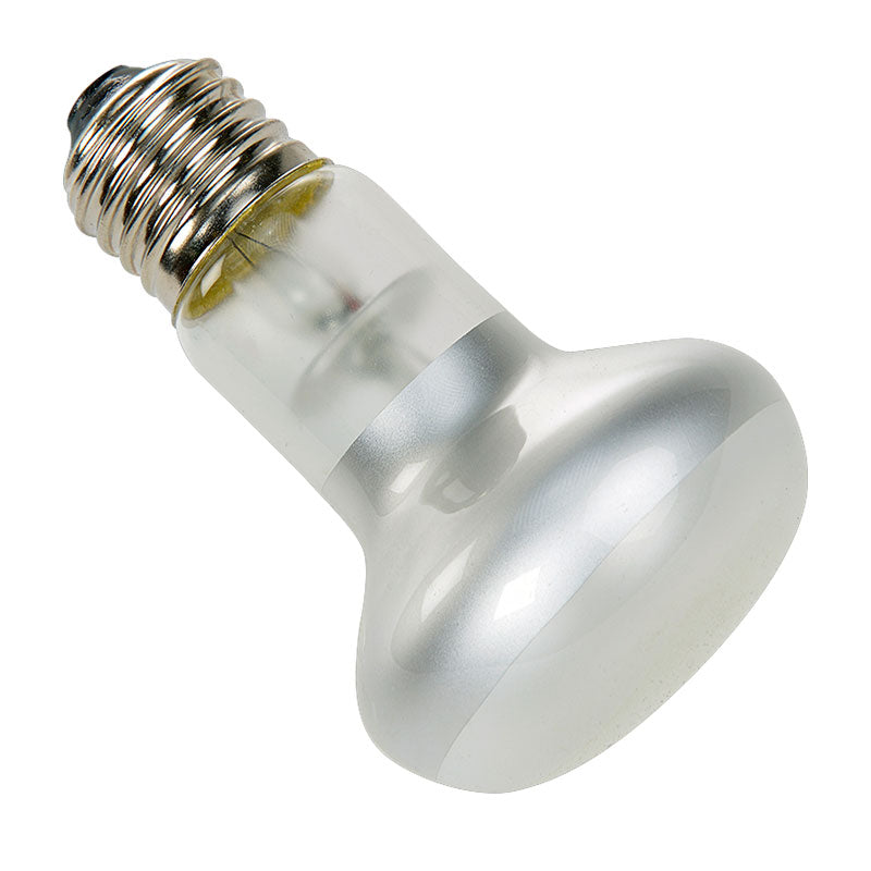 Spotlampe 25 w