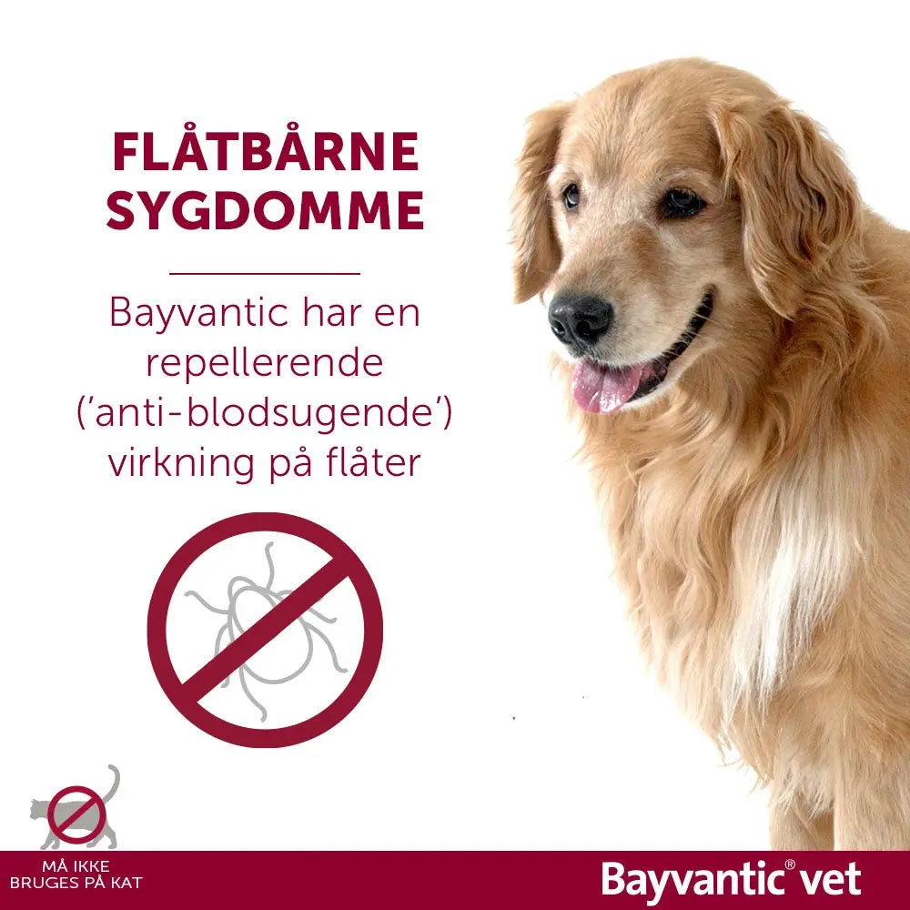 BAYVANTIC VET Flåt- & loppemiddel hund 40-60 kg - 4x6,0 ml