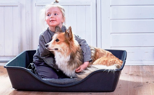 Hundekurv klapbart small grå
