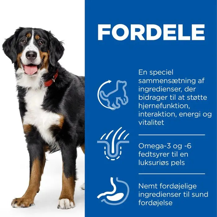 SP Canine Senior Vitality Large kylling  14 kg