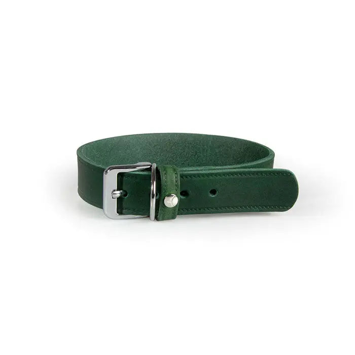 Læder halsbånd Weinheim 47-53 cm grøn bred