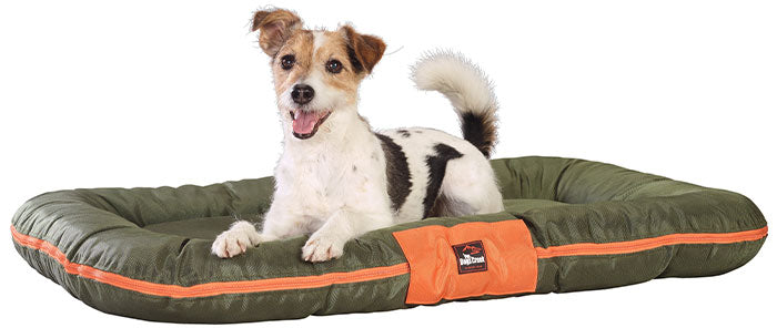 Hundepude Mountaineer L 100x70x12 cm grøn