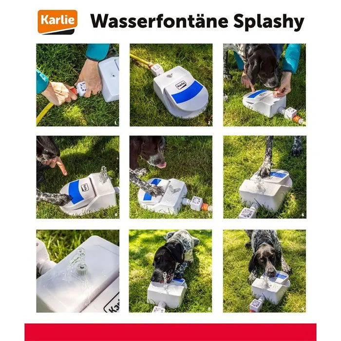 Vandfontaine Splashy til haveslangen