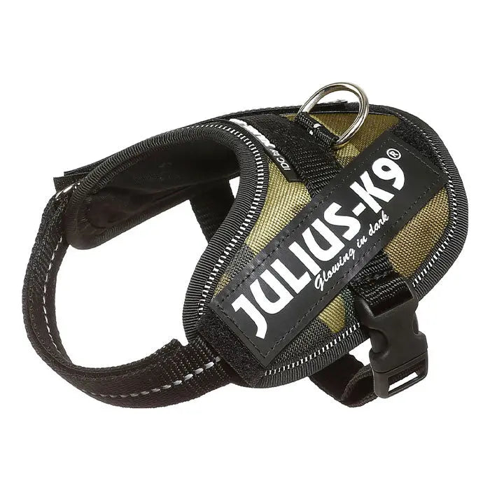 Julius K9 Power-SeleIDC baby 2/xS-S camouflage