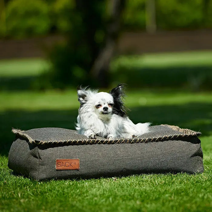 Dog bed Sort