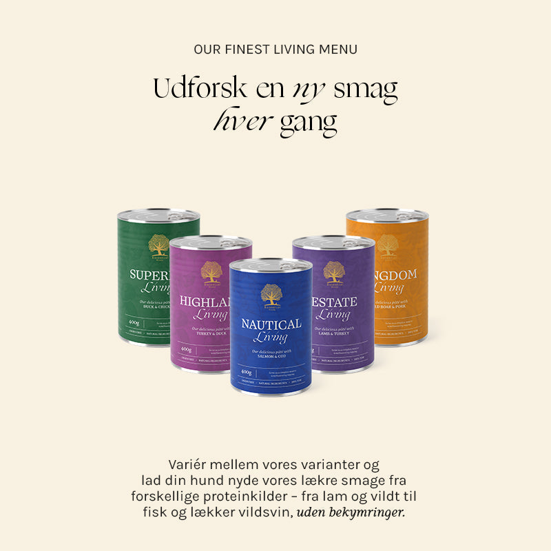 Adult Paté Nautical Living laks 400 g