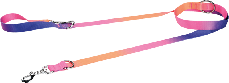 Halsbånd + line sæt flerfarvet
