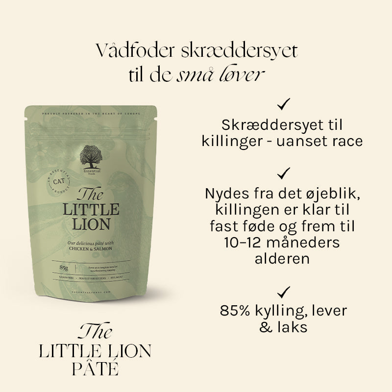Kitten The Little Lion Pâté kylling, lever & kalkun 12x85 g