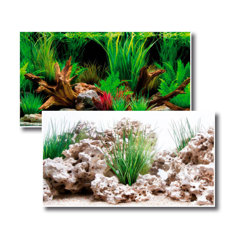 Akvariebaggrund Wonder 45x100 cm