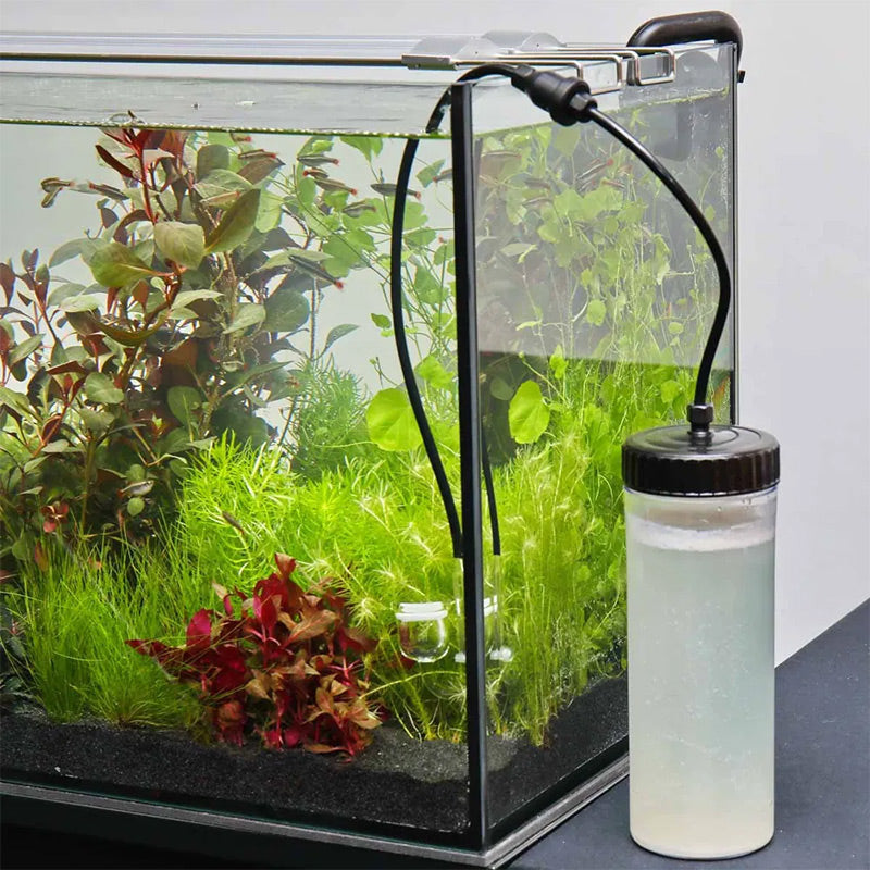 Proflora Co2 Basic Bio Sætakvarier 40-80 l