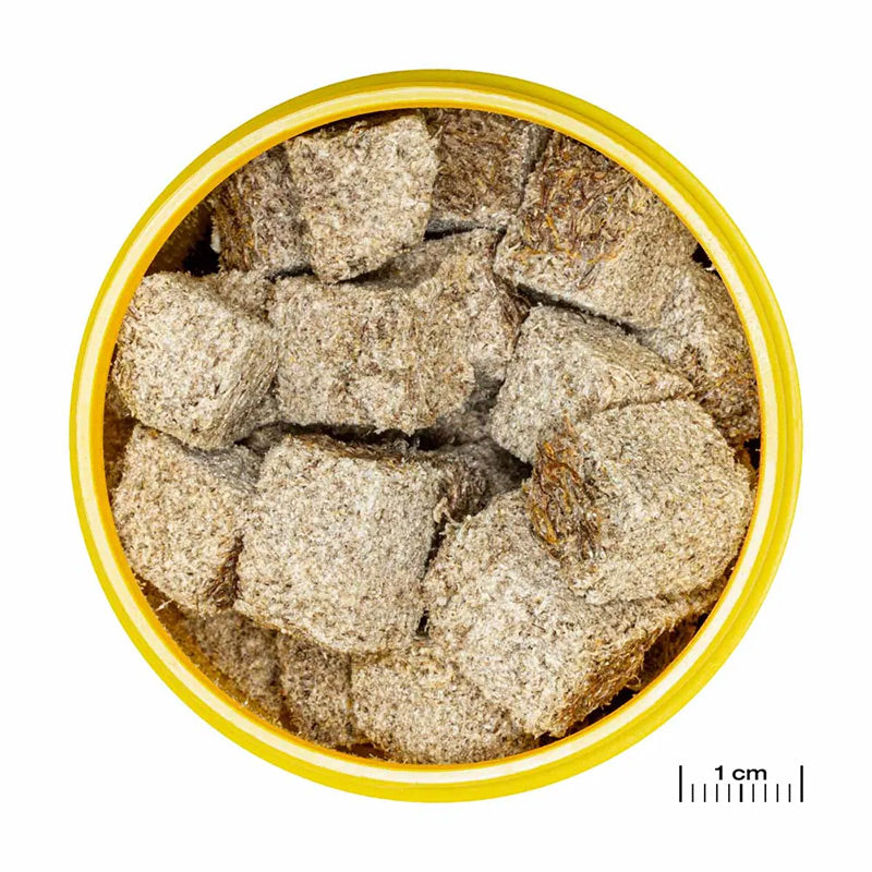 Pronovo Fex Frysetørret Tubifexm 100 ml