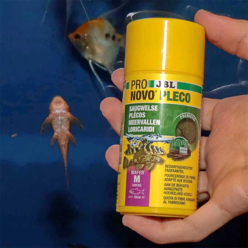 Pronovo Pleco skægfisk tabl. M 100 ml
