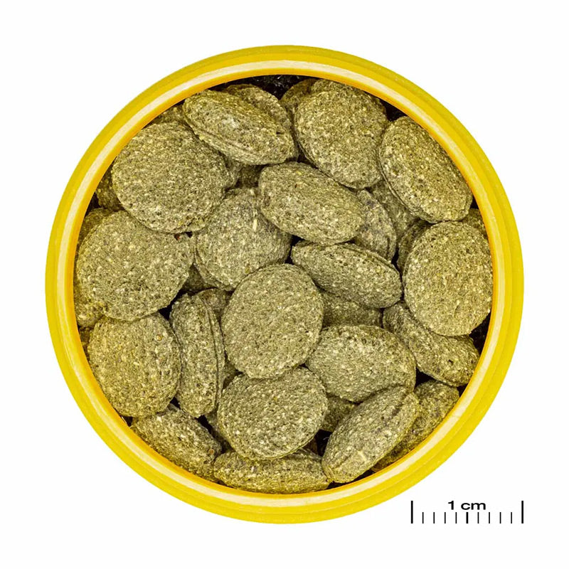 Pronovo Pleco skægfisk tabl. M 250 ml