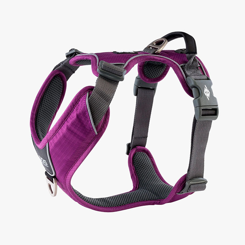 Comfort Walk Pro sele  Purple-Passion