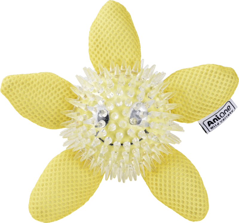 Vandlegetøj søstjerne 15 cm