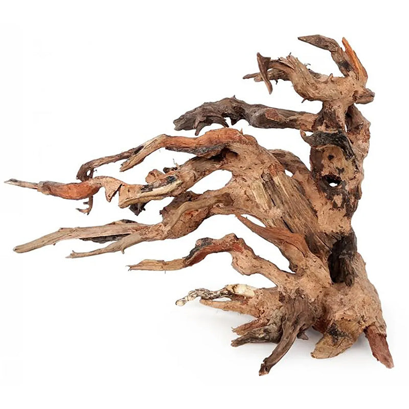 Akvariedek. Bonsai rodm 25x20x14 cm