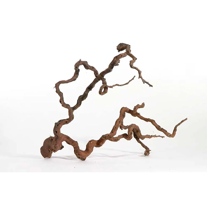 Winewoodl 70-100 cm