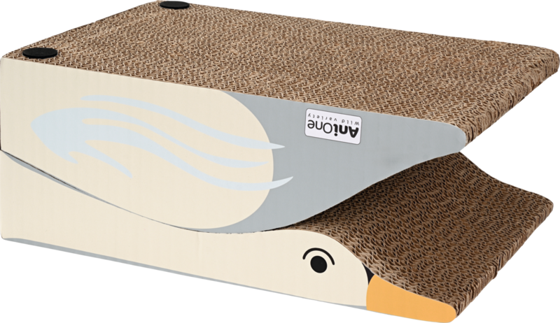 Svane