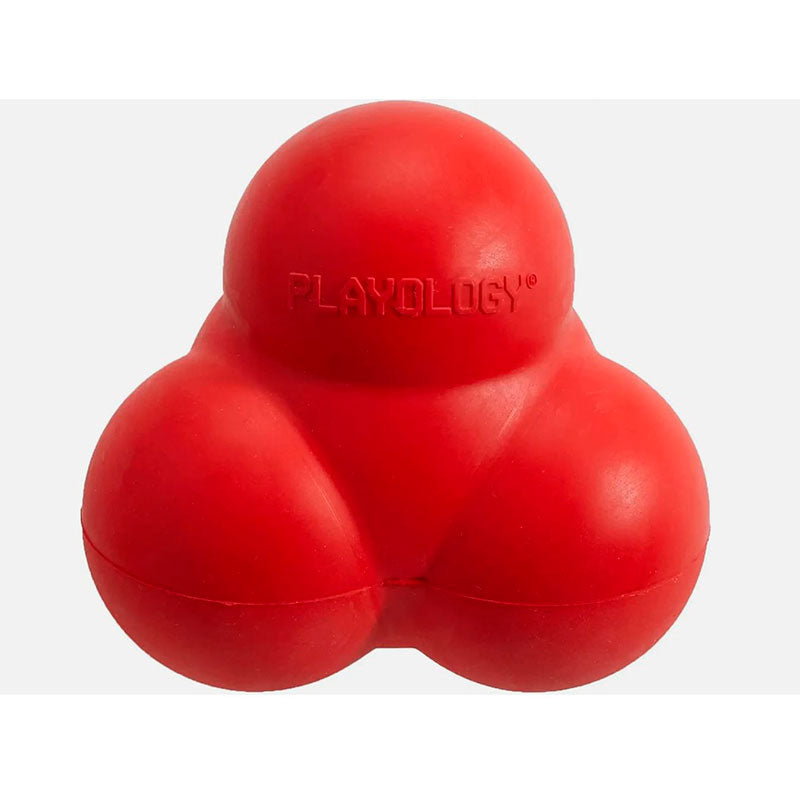 Squeaky Bounce Ball