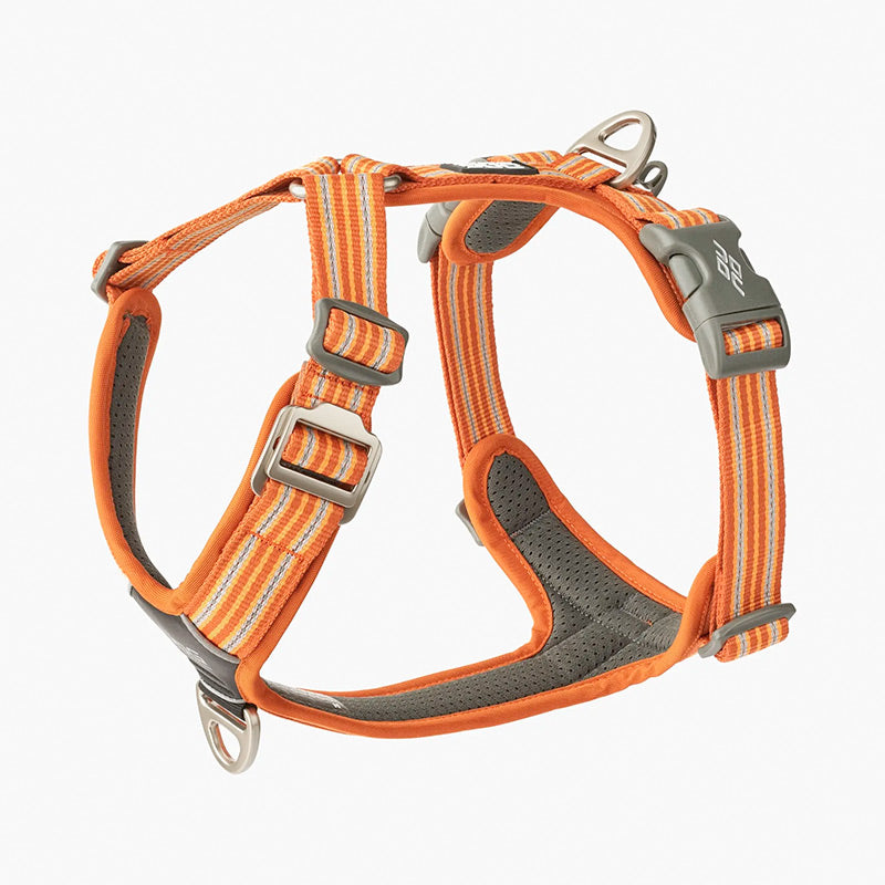 Comfort Walk Air sele Orange
