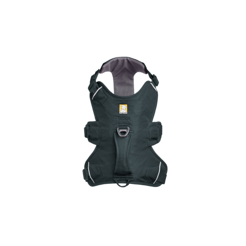 Web Master sele XXS Basalt Grey