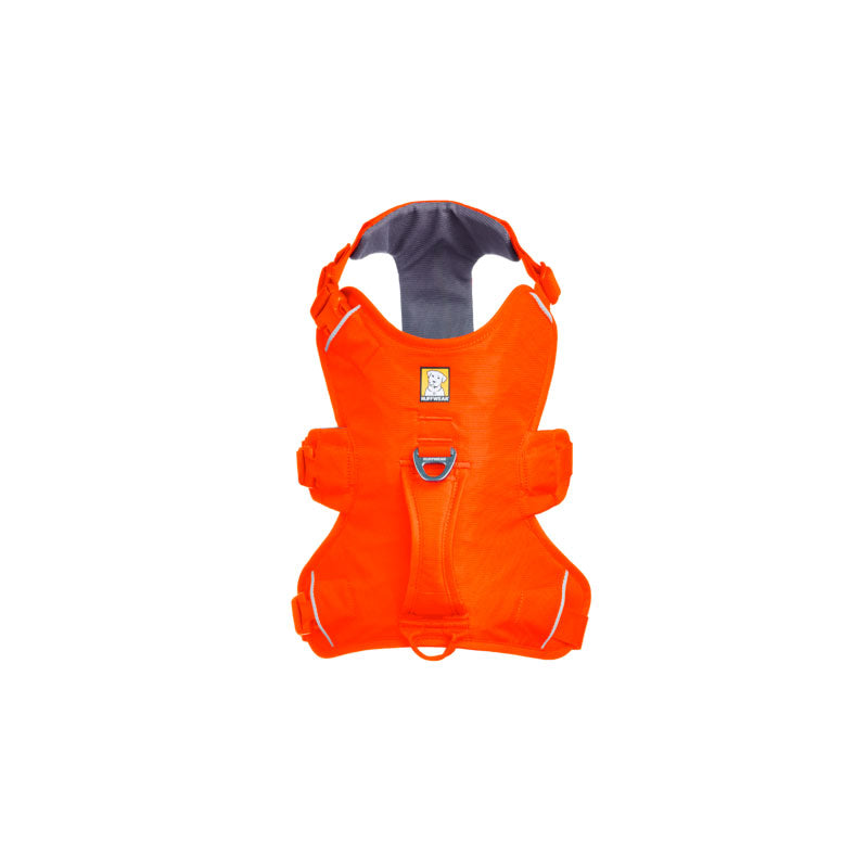 Web Master sele S Balze Orange