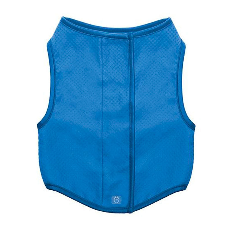 Ice vest
