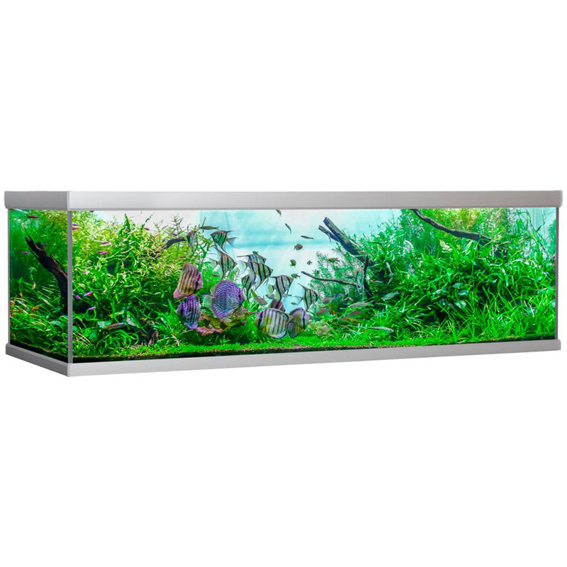 Akvarium Fusion