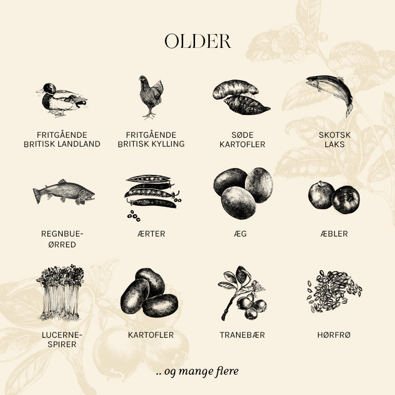 Senior Older