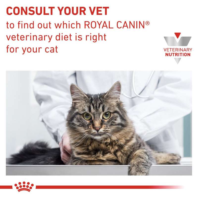 VHN Gastrointestinal Modera.Calorie 4 kg