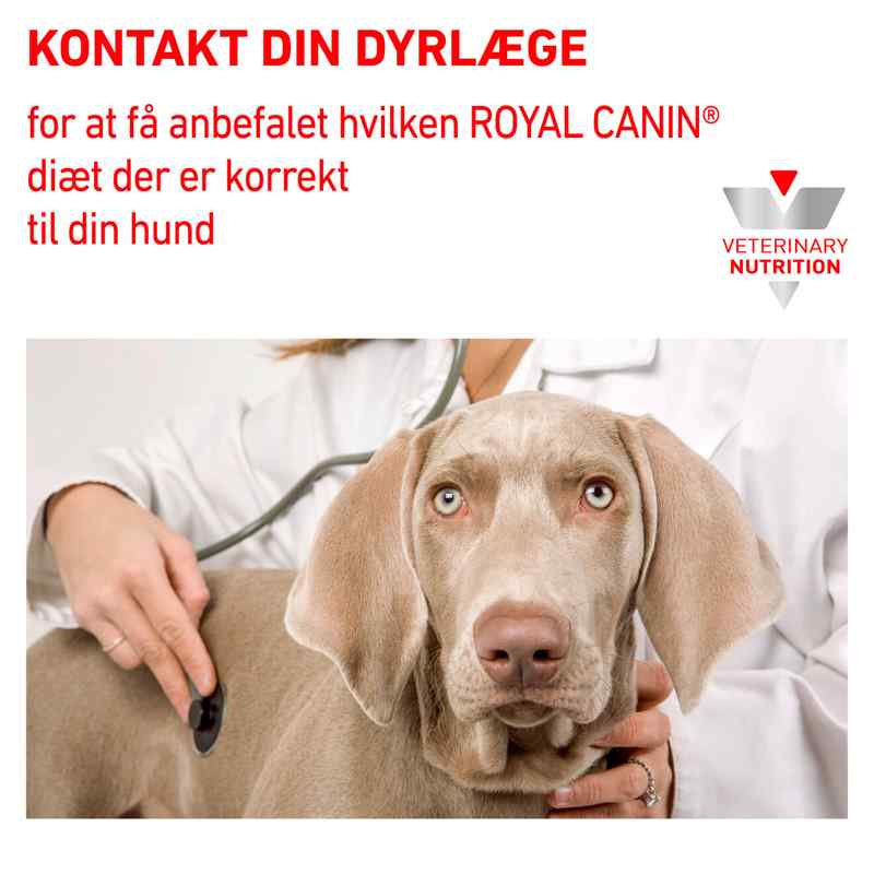VHN Derma Hypoallergenic 14 kg