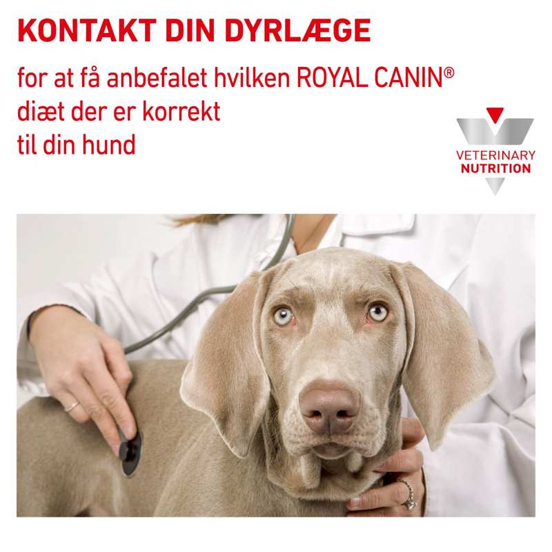 VHN Derma Hypoallergenic Can 400g