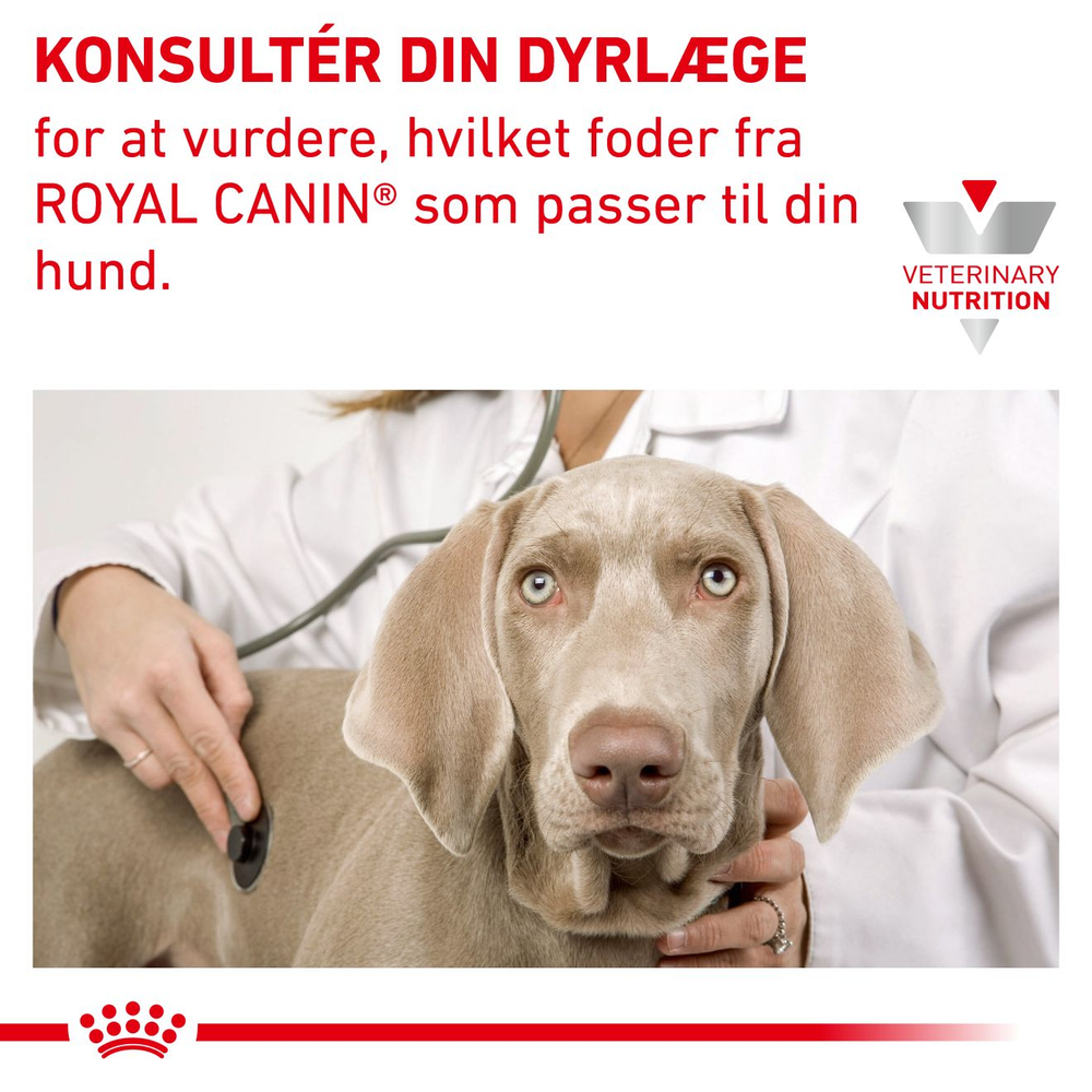 VHN Derma Skin Care Small 4 kg