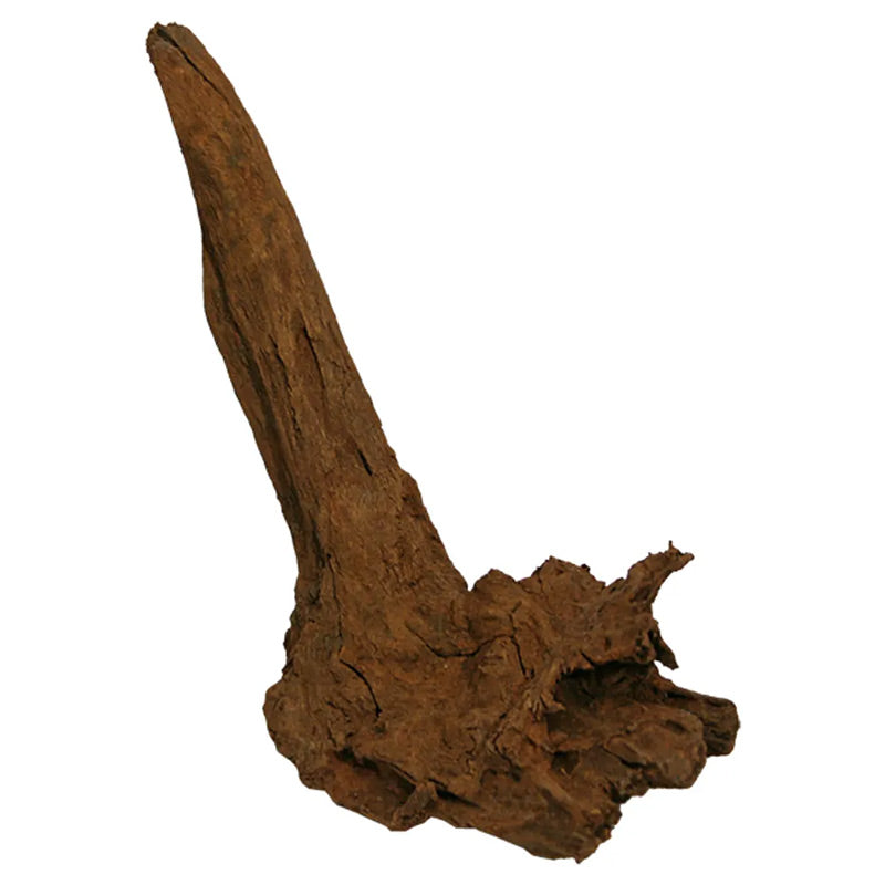 Trærod - Mangrovel ca. 30-40 cm