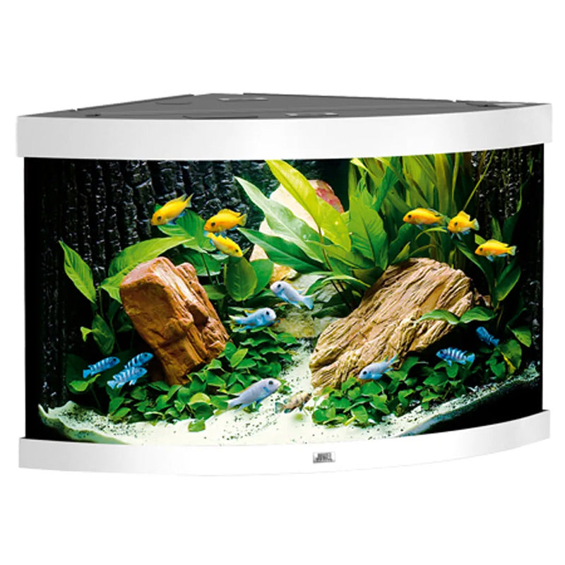 Juwel Model Trigon 190 Led Akvl: 98,5 x b: 70 x h: 60 cm